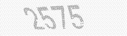Visual security code — type the characters shown in the image