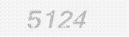 Visual security code — type the characters shown in the image